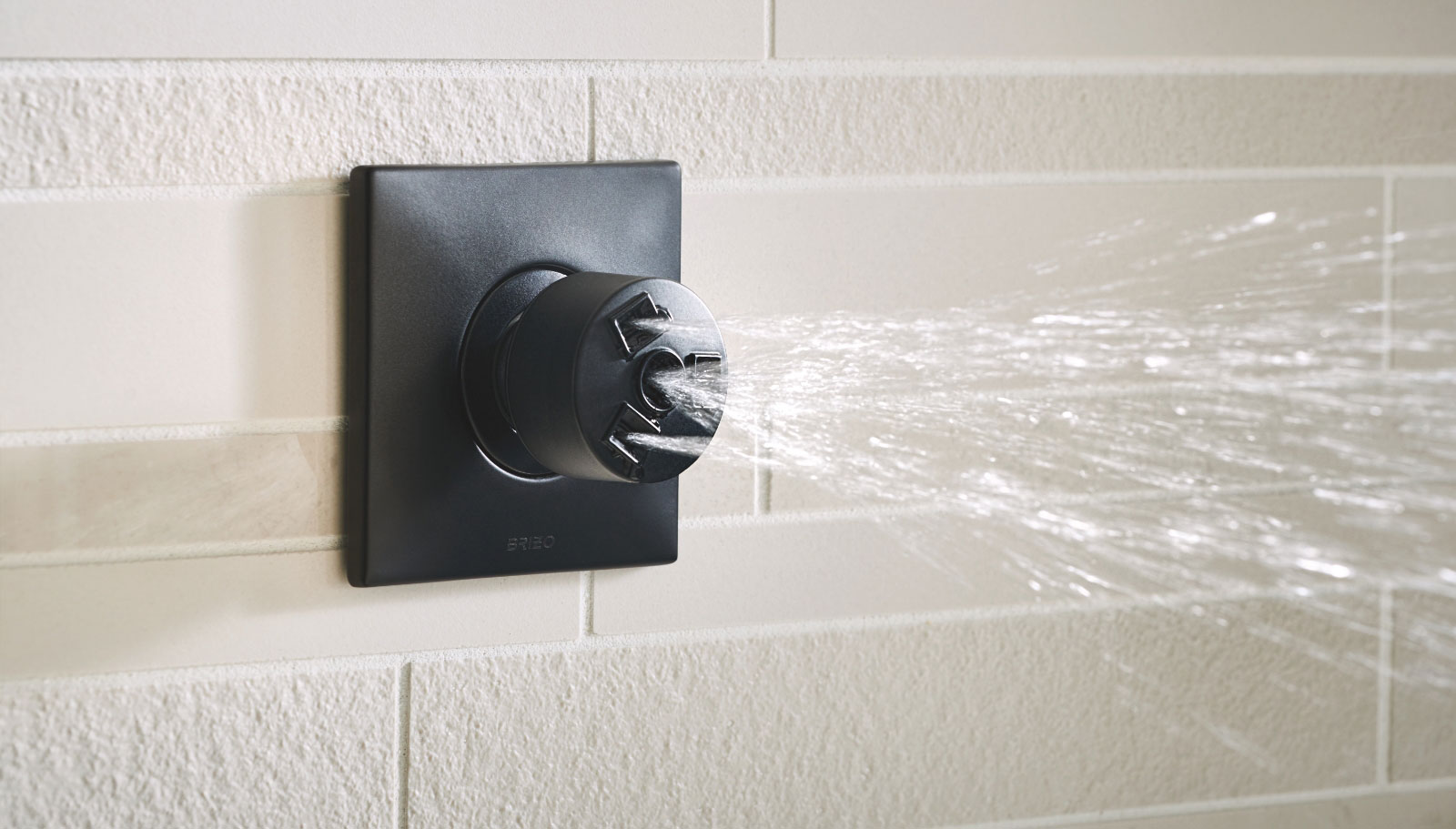 Body Sprays shower Brizo